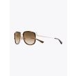 Christian Roth CR-100 Sunglasses Brown/Gold - E35 SHOP