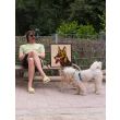 Alfred Lenz with Timmi in park