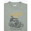Blue Rey American Idol T-shirt Verde Front Details