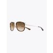 Christian Roth CR-100 Sunglasses Brown Smoke / White Gold 2