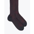 Gallo Long Socks Twin Ribbed Cotton Anthracite / Red 2