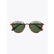 Masahiromaruyama Monocle MM-0055 No.2 Sunglasses Havana / Brown Front View