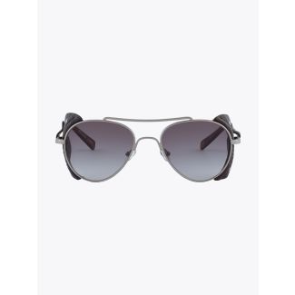 Northern Lights NL 22 Sunglasses Aviator Matte Silver / Green Gradinet Front